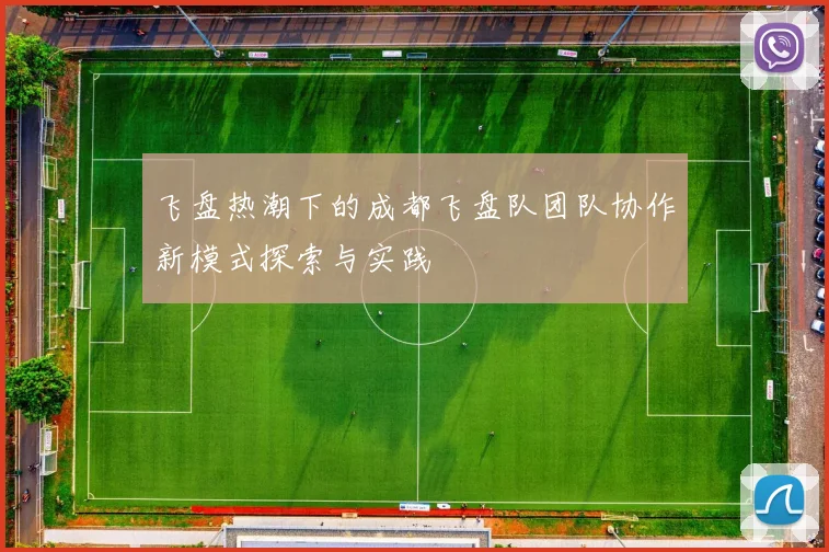 飞盘热潮下的成都飞盘队团队协作新模式探索与实践