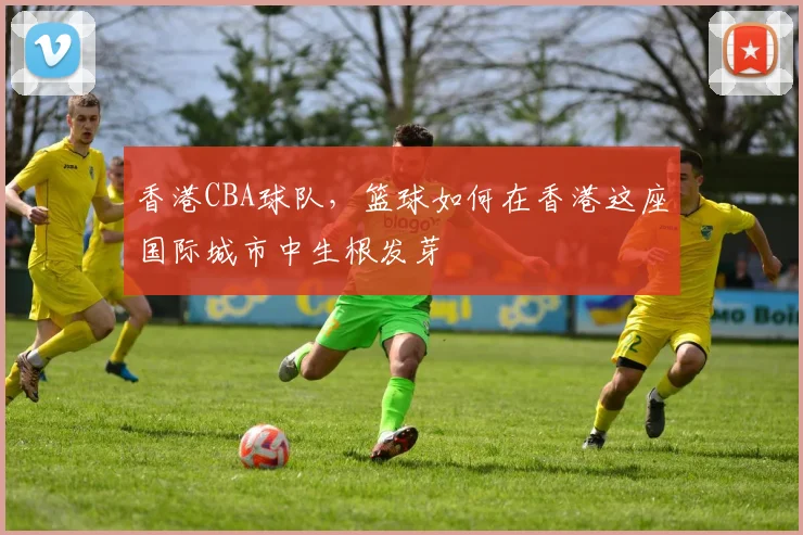 香港CBA球队，篮球如何在香港这座国际城市中生根发芽
